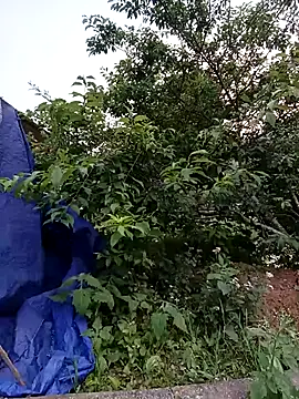 -Likin- online show from 04-10-26, 11:06