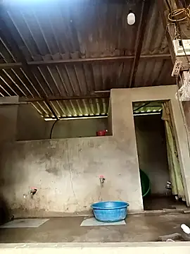 -Likin- online show from 03-31-26, 09:33