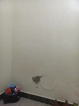 PatriciaVen online show from 02-06-26, 05:58