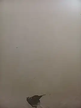 PatriciaVen online show from 02-05-26, 05:36