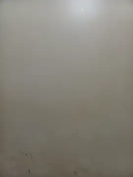 PatriciaVen online show from 02-04-26, 05:02