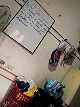 caliente2026porti online show from 01-12-26, 07:09