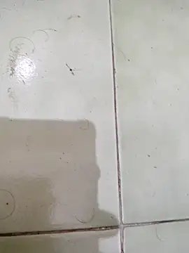 TamilBoy3007 online show from 02-06-26, 07:32