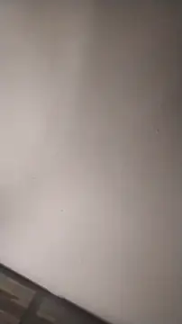 sterng6969 online show from 03-16-26, 05:26