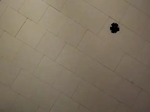 sterng6969 online show from 04-09-26, 08:09