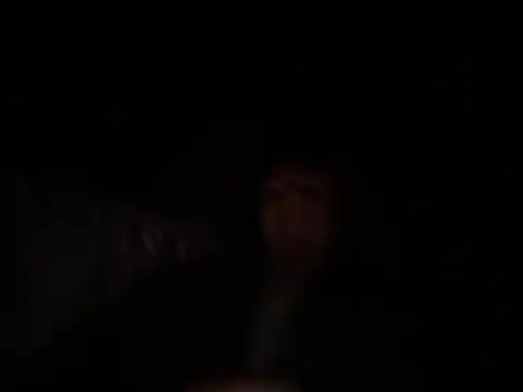 tastemecaroline online show from 07-23-26, 04:10