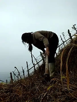 miumiu sexy2x online show from 04-01-26, 02:02