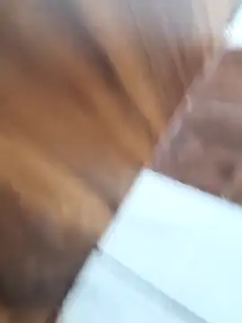 Hottlund6 online show from 04-22-26, 11:11