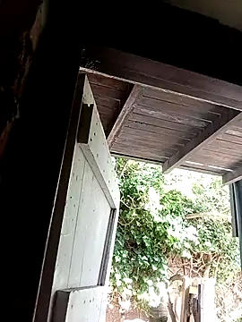 dicklife3485 online show from 02-20-26, 08:27