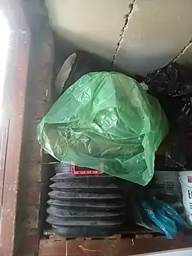 dicklife3485 online show from 04-14-26, 09:03