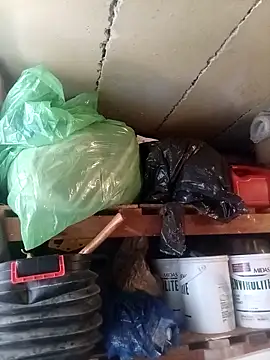 dicklife3485 online show from 03-30-26, 08:27