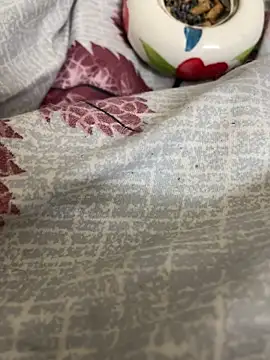 Arushridelong online show from 01-14-26, 04:32