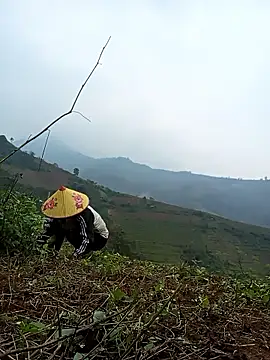 Nga x9 online show from 03-13-26, 07:24