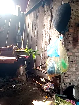 out-lustt online show from 03-27-26, 08:01