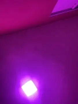 Snapshot of MorenaCariok chatting on 02-17-26, 04:37 MorenaCariok online show from 02-17-26, 04:37