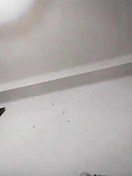 anastasiadaniela online show from 02-12-26, 01:38