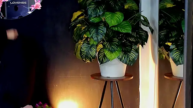 Noaah25  online show from 04-10-26, 03:24