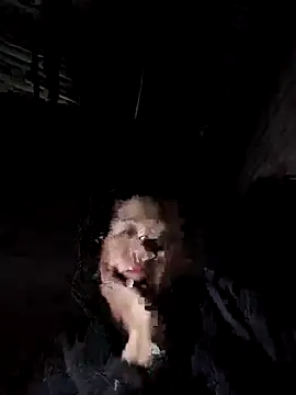 Jooj- online show from 02-03-26, 03:06