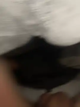 Snapshot of luisestrada003 chatting on 01-15-26, 08:40 luisestrada003 online show from 01-15-26, 08:40