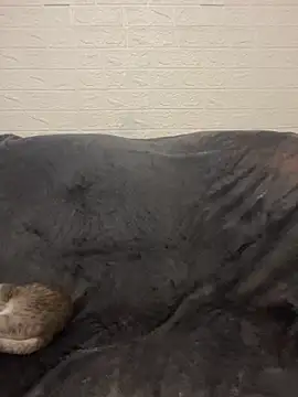 AlisRoxy online show from 03-15-26, 09:00