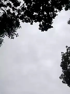 Snapshot of Juli_rathore chatting on 07-20-26, 01:57 Juli rathore online show from 07-20-26, 01:57
