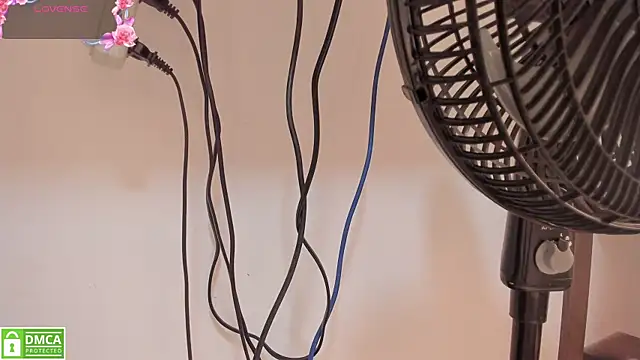 Zamahara Rodriguez online show from 03-08-26, 07:50