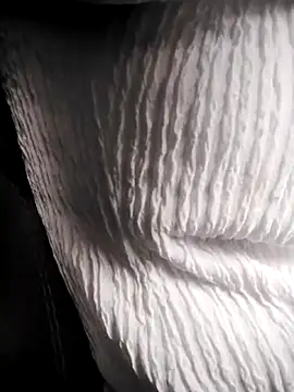 Snapshot of RosseLaure chatting on 02-25-26, 07:58 RosseLaure online show from 02-25-26, 07:58