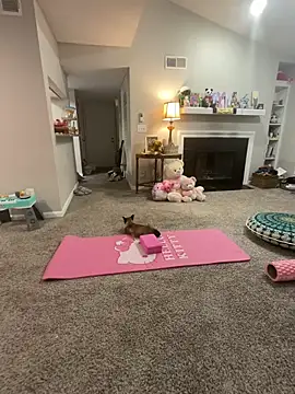 Pink mink21 online show from 02-03-26, 03:48