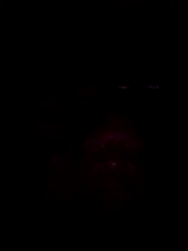 Snapshot of 01Wetlips chatting on 06-15-26, 01:28 01Wetlips online show from 06-15-26, 01:28