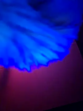 dewimp1 online show from 02-06-26, 06:20