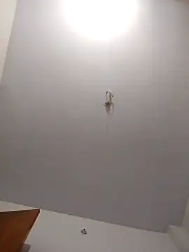 maisamim2 online show from 03-06-26, 03:01