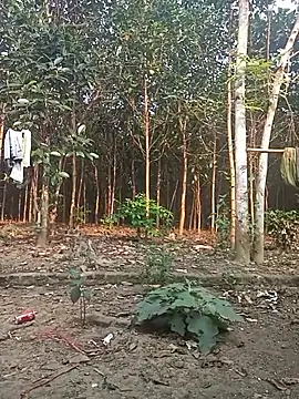 Nuna 689 online show from 03-31-26, 09:22