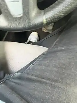 tony3729 online show from 04-19-26, 01:23