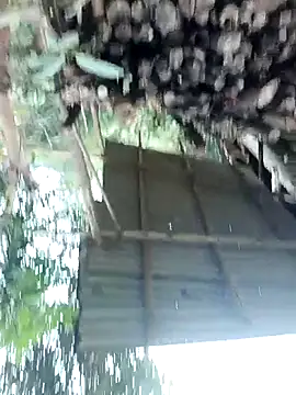 meomeo30 online show from 02-11-26, 08:36