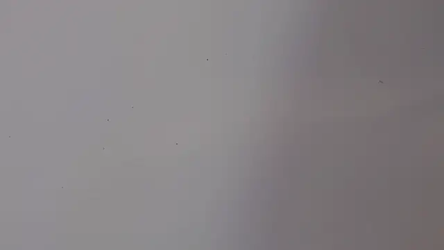 Snapshot of adara_cute_69 chatting on 02-05-26, 06:15 adara cute 69 online show from 02-05-26, 06:15