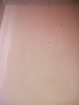  aish a online show from 03-19-26, 08:09