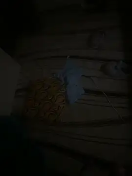 dragon ndragos online show from 02-24-26, 10:43