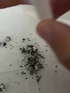 dickdondra online show from 02-02-26, 11:42