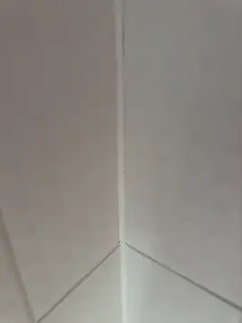 fali35 online show from 02-17-26, 02:14