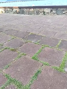 Snapshot of Gustavo52367 chatting on 02-20-26, 07:27 Gustavo52367 online show from 02-20-26, 07:27