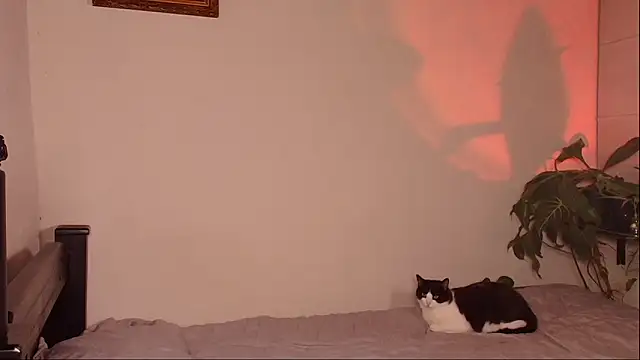 slowburnmystic online show from 03-29-26, 04:03