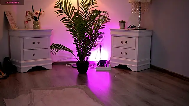 KassidyVibe online show from 02-11-26, 11:10