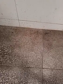 GTX-8194 online show from 02-22-26, 06:27