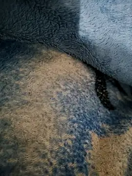 dollpum online show from 03-04-26, 09:55