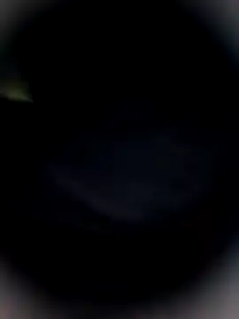 Snapshot of Bengal_Tiger420 chatting on 02-24-26, 10:32 Bengal Tiger420 online show from 02-24-26, 10:32