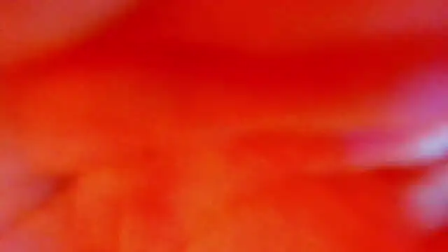 Snapshot of Katty_Kiiss_ chatting on 05-05-26, 04:04 Katty Kiiss online show from 05-05-26, 04:04