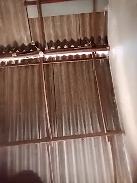 Rithu-SL online show from 04-11-26, 09:24