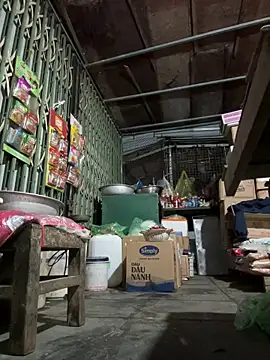 YANINA120 online show from 02-10-26, 11:48