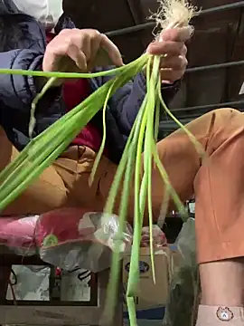 YANINA120 online show from 02-03-26, 02:32