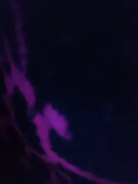 LustyDanky online show from 03-22-26, 05:25